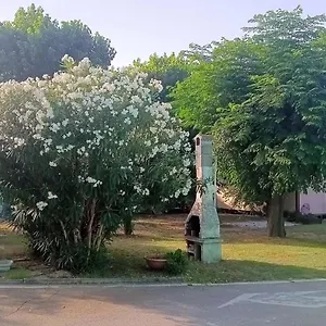 L'oasi Di Lulu' Campeggio